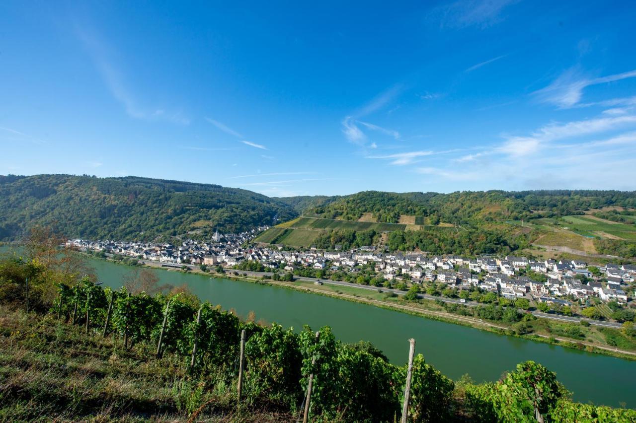 Weingut Pension Gibbert-Pohl Briedel Exterior photo