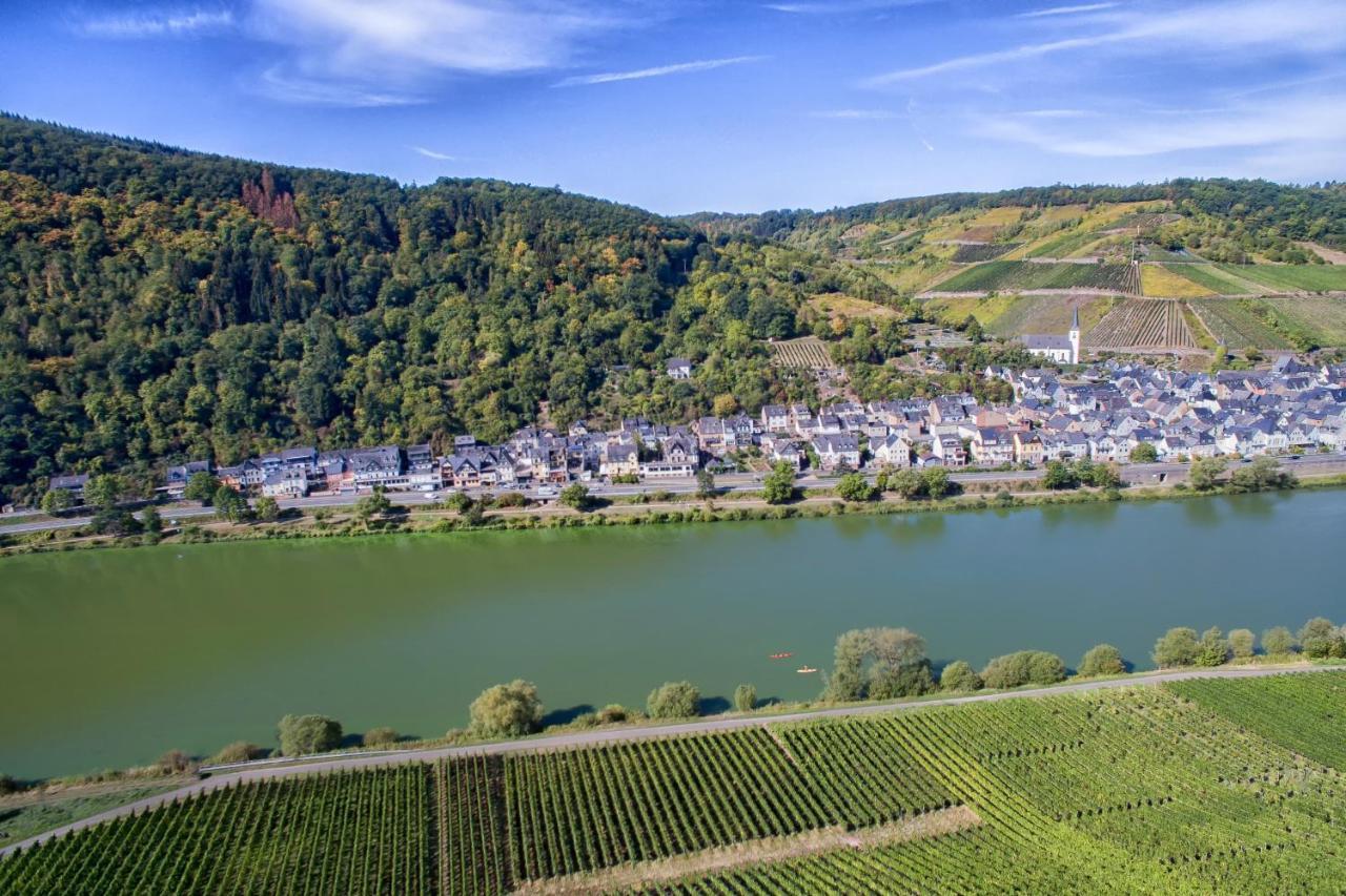Weingut Pension Gibbert-Pohl Briedel Exterior photo